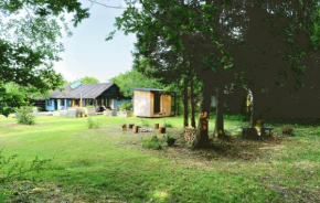Nice Home In Vig With Sauna, Vig